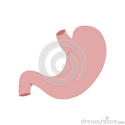 Human stomach icon Vector Illustration