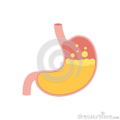 Human stomach icon Vector Illustration