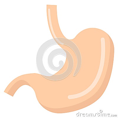 Human stomach organ icon, vector illustration Vector Illustration