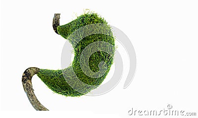 The human stomach is strong. The internal organs are shaped by green trees. environment Stock Photo