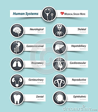 Human systems . Medical icon and sticky note . Vector Illustration