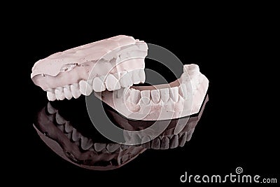 Human teeth, model Stock Photo