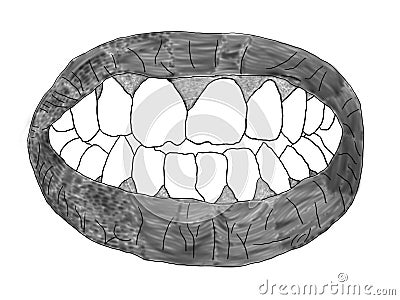 human teeth sketch on white background Stock Photo