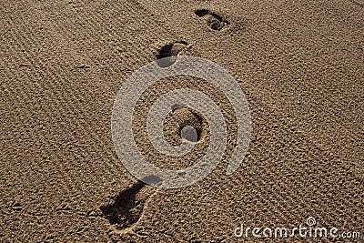 Human traces on sand Stock Photo