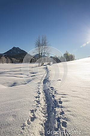 Human traces in the snow on a frozen field in winter Stock Photo