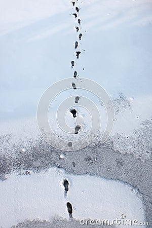 Human traces in the white snow, a view from above Stock Photo