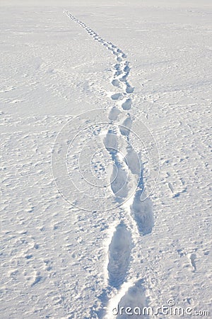 Human tracks in the snow Stock Photo