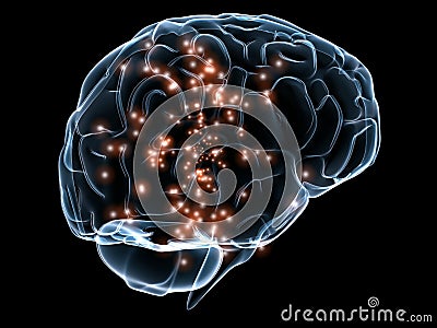 Human transparent brain Cartoon Illustration