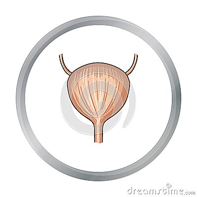 Human urinary bladder icon in cartoon style isolated on white background. Human organs symbol stock vector illustration. Vector Illustration