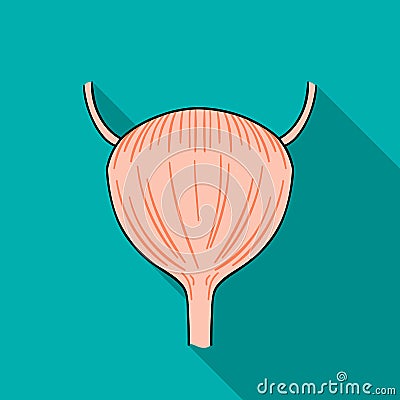 Human urinary bladder icon in flat style isolated on white background. Human organs symbol stock vector illustration. Vector Illustration