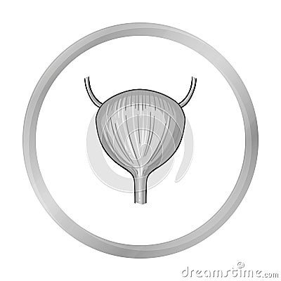 Human urinary bladder icon in monochrome style isolated on white background. Human organs symbol stock vector Vector Illustration