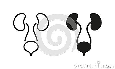 Human Urinary System Line and Silhouette Icon Set. Healthy Internal Organs, Health Bladder and Kidney Symbol Collection Vector Illustration