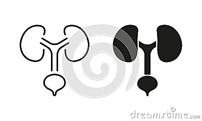 Human Urinary System Line and Silhouette Icon Set. Healthy Internal Organs, Health Bladder and Kidney Symbol Collection Vector Illustration