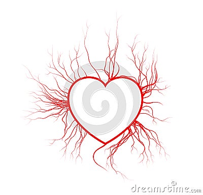 Human veins with heart, red love blood vessels valentine design. Vector illustration isolated on white background Vector Illustration