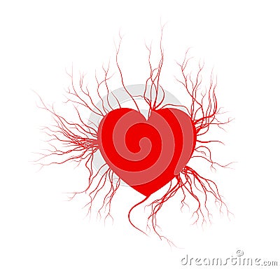 Human veins with heart, red love blood vessels valentine design. Vector illustration on white background Vector Illustration