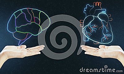 Human verses Artificial Intelligence concept with digital brain and heart hologram layouts above hands Stock Photo