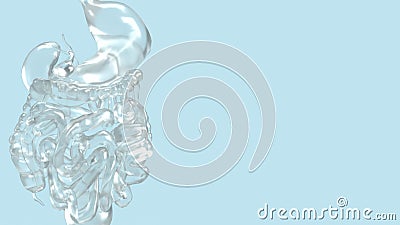 The Human viscera on blue background for health or sci concept 3d rendering Stock Photo