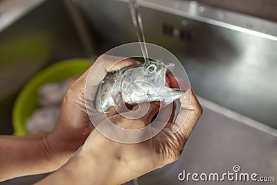 Human washes a fresh fish under water Stock Photo