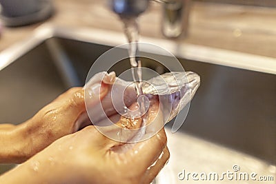 Human washes a fresh fish under water Stock Photo