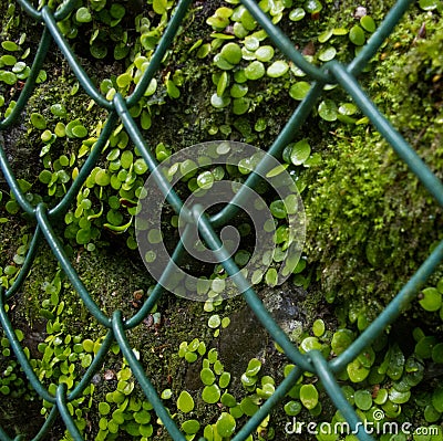 Humans are domesticating and conquering nature Stock Photo