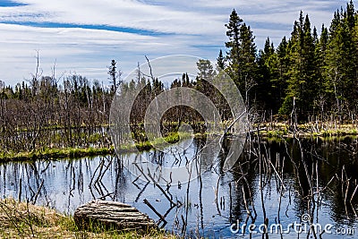 The Humber River wanders through the park. Sir Richard Squires Provincial Park Newfoundland Canada Stock Photo