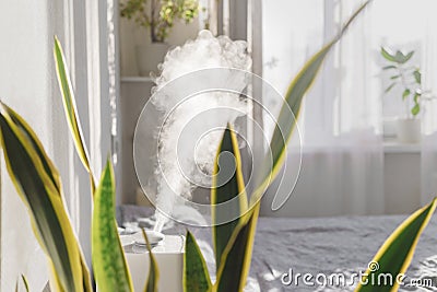 humidifier in the apartment among the plants, air entrainment and purification in the opotypical season, air freshener Stock Photo