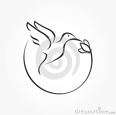 Humming bird icon Vector Illustration