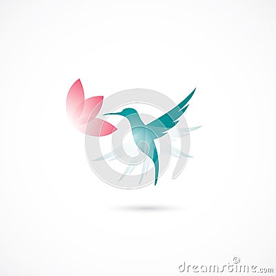 Hummingbird Vector Illustration