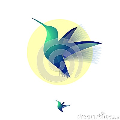 Hummingbird color transparent logo. Tropical forest emblem. A flying colibri bird. Vector Illustration