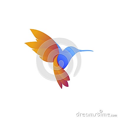 Hummingbird with colorful logo design Vector Illustration