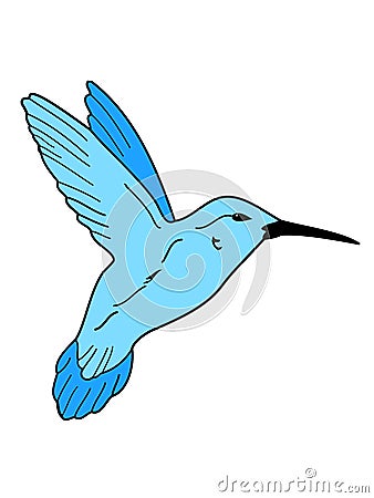 Hummingbird on flower Vector Illustration
