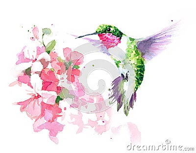 Hummingbird flying around Flowers Watercolor Bird Illustration Hand Drawn Cartoon Illustration