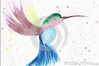 Hummingbird With Metallic Wings Stock Photo