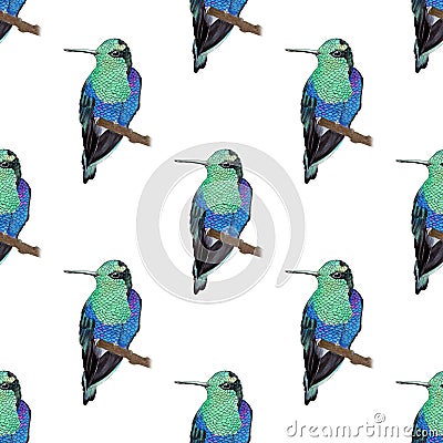 Hummingbird, seamless pattern Cartoon Illustration