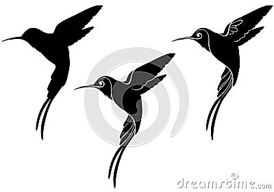 Hummingbird Vector Illustration