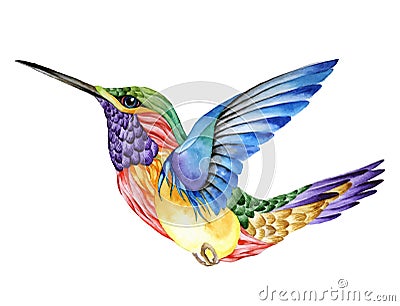 Hummingbird tattoo, watercolor painting Vector Illustration