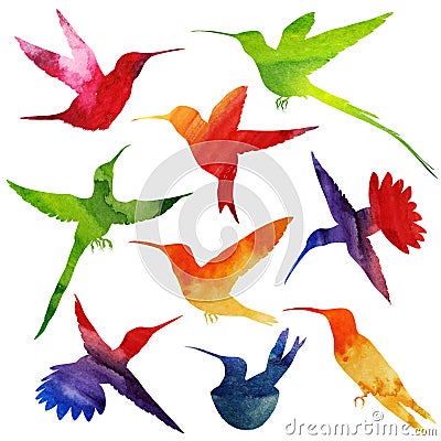 Hummingbirds Silhouette. watercolor illustration Vector Illustration