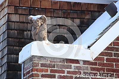 Humour in gargoyle in the winter Stock Photo