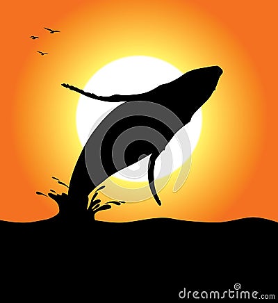 Humpback Whale Jumping Vector Illustration