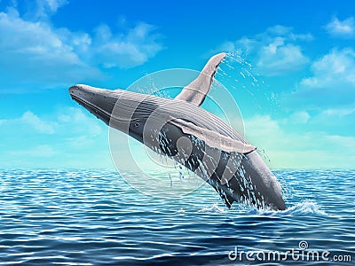 Humpback whale jumping Cartoon Illustration