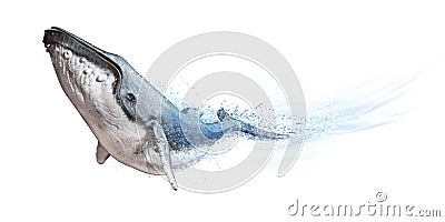 Humpback whale on a white background. Dispersion abstract wave effect Stock Photo