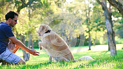 Hund och hans ägare i parkera arkivfilmer Hund och hans ägare i parkera arkivfilmer