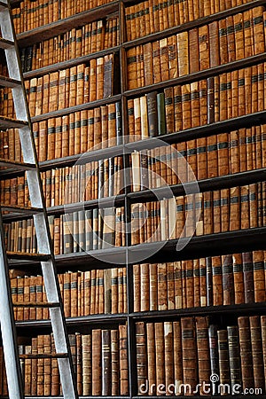 Old Leatherbound Books on Shelves with a Ladder Stock Photo