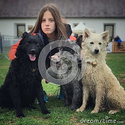 Hungarian dogs and their owner Stock Photo