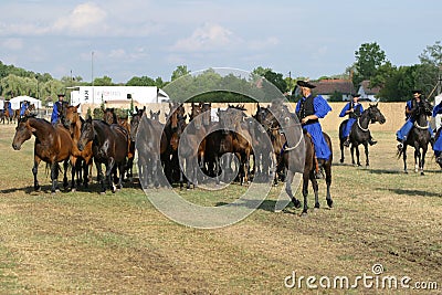 Hungarian herdsmen guide the nonius mares, Hortobagy, Hungary Editorial Stock Photo