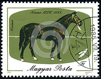 HUNGARY - CIRCA 1985: stamp 1 Hungarian forint printed by Hungary, shows Nonius-36, 1883 Equus ferus caballus, circa 1985 Editorial Stock Photo
