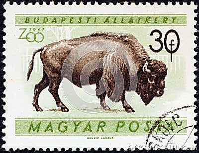 HUNGARY - CIRCA 1961: A stamp printed in Hungary from the `Budapest Zoo Animals` issue shows an American bison Bison bison Editorial Stock Photo