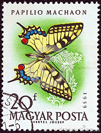 HUNGARY - CIRCA 1959: A stamp printed in Hungary from the `Butterflies and Moths` issue, shows a Swallowtail butterfly Editorial Stock Photo