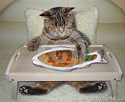 Cat eats fried fish on the bed Stock Photo