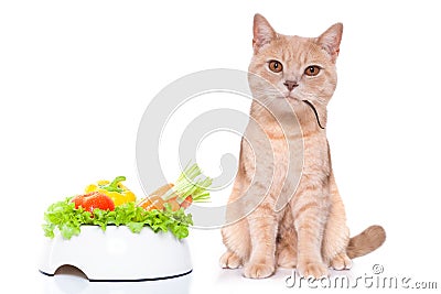 Hungry cat with mouse in mouth and vegan bowl Stock Photo